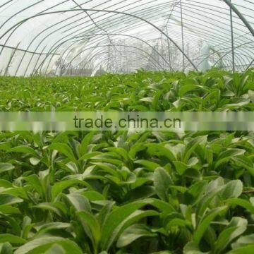 Better Industry Herbal Medicine Extractor On Sale photo-4