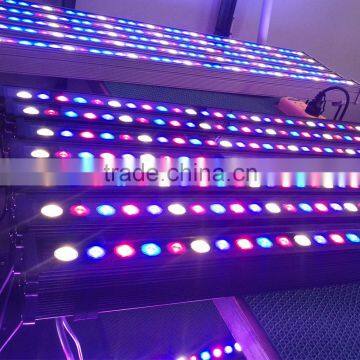 Led lighting in agriculture led grow light hydroponic full spectrum led grow light bar waterproof