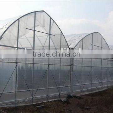 Large size 3 layer film cover greenhouse for agricultural