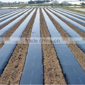Agricultural Plastic Black Builders Mulch Film photo-3
