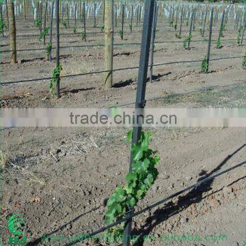 Living Wall Support Stake photo-3