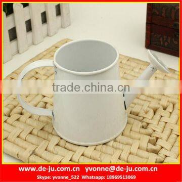 Modern Popular Metal Watering Pot photo-4