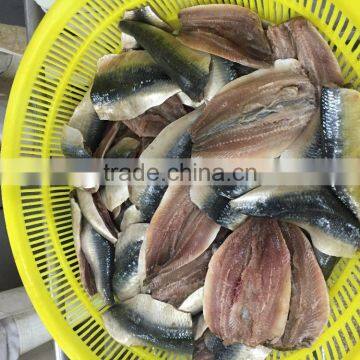 Frozen Sardine Fillets ,double Fillets /skin on Boneless PBO photo-3