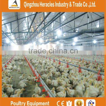 China Low Price Hot Sale Automatic Equipment Chicken Shed Poultry Farm photo-3