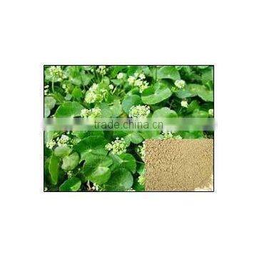 100% Natural Centella Asiatica Extract