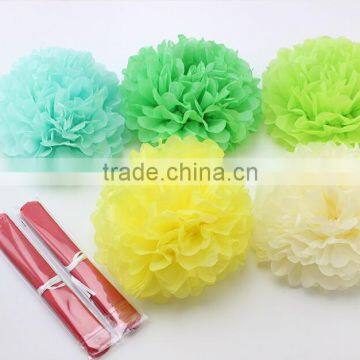 Best Fashion Colour Tissue Pom Poms for Parties photo-2