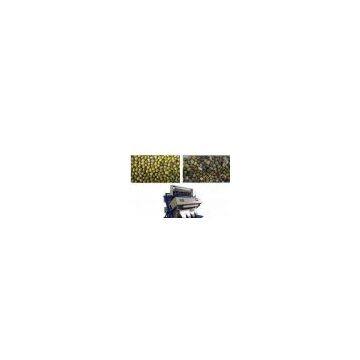 5000 * 3 Pixel CCD Camera And 0.08mm Recognition Accuracy Bean Sorting Machines