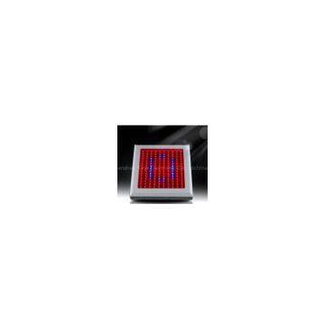 High Power Red Orange 150Wgardening Indoor Led Plant Growing Lights 330 * 330 * 60 mm