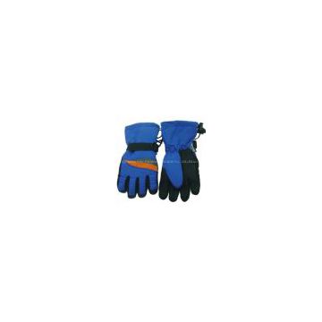 Skiing Gloves