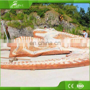KAWAH Museum Display Resin Dinosaur Skeleton Life-Size Real Fiberglass Dino Skull For Sale photo-4
