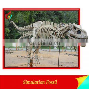 Artificial Big Dinosaur Skeleton