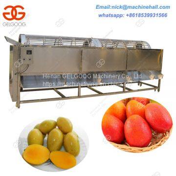 Fruit and Vegetable Sorting Machine/Factory Price Vegetable Sorting Machine/High Efficiency Fruit Sorting Machine photo-2
