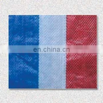 Colorful PE PP tarpaulin Fabric for Bag