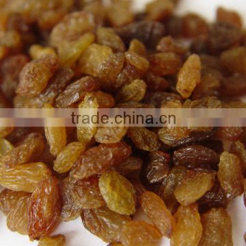 Raisins - Dried Best Quality