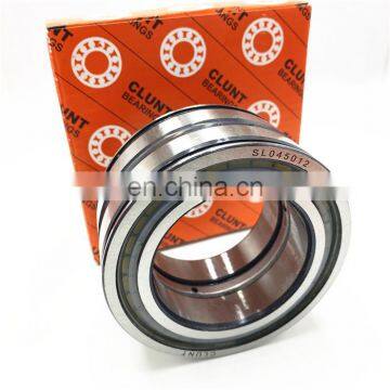 SL Sheave Wheel Series Cylindrical Roller Bearings SL04 5022PP