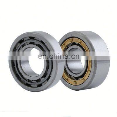 N 320 Japanese Standard Single Row Cylindrical Roller Bearing N320 photo-2