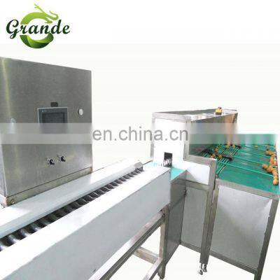 Small Chick Weighing Egg Grading Machine Grader Egg Classification Machine Egg Grading Sorting Machine