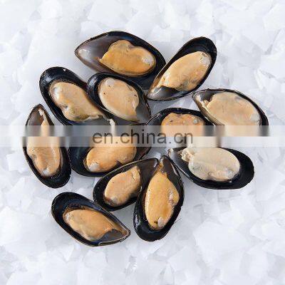 Hot Sale Frozen Half Shell Mussel for export