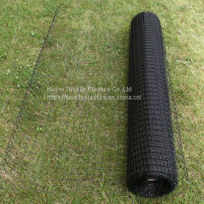 Anti Bird Net Fred Wire Mesh Agriculture/Netting Anti Bird/PP Anti Bird Netting