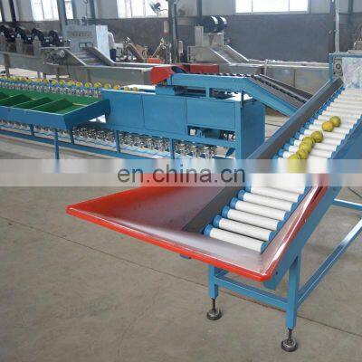 Automatic Apple Orange Peach Tomato Avocado Potato Grading Fruit Sorting Machine photo-3