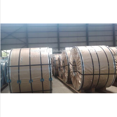 Stainless Steel Coil 304