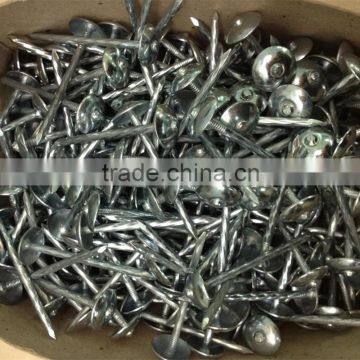 Competitive Price Umbrella Head Roofing Nails Directly Manufacturer photo-3
