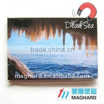 souvenir tin fridge magnet DEAD SEA magnetic gift