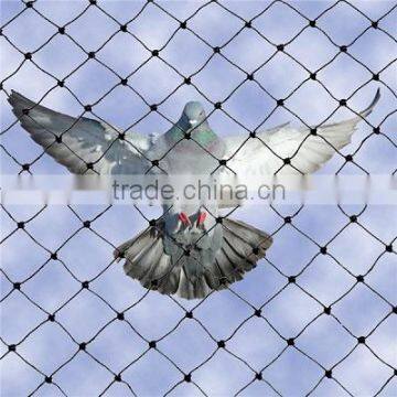 Square mesh bird netting