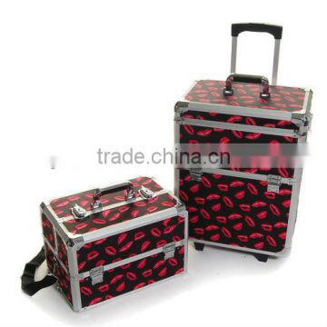 Aluminum Beauty Trolley Case (ZYD-HZ959)