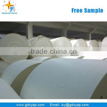 Raw Materials for Paper Cups pe Coated Paper in Roll/Sheet Paper Cup Fan