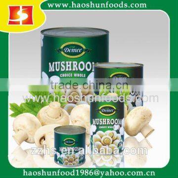 Canned Mushroom canned food