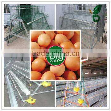 poultry farm project egg layer chicken cages