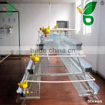 A Type metal steel wire mesh Layer quail Chicken Coop for sale