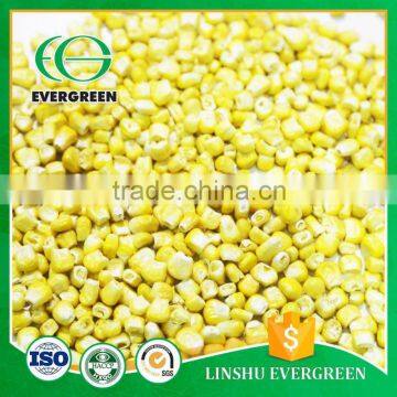 100% Natrual China supplier freeze-dried corn