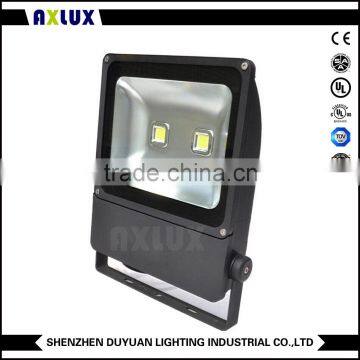 100w 150w 200w anti sea water proof floodlight RGB pir photo cell ce 0-10V dali 100lm 30d 120d DC12V DC24V 100V-240V