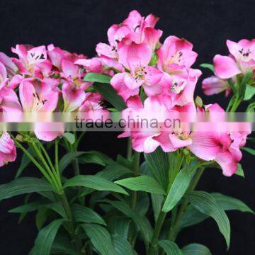 Artificial silk daffodil flowers/lily flower imported from China