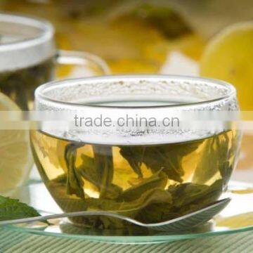 High Quality Spearmint Tea Bulk Exporters