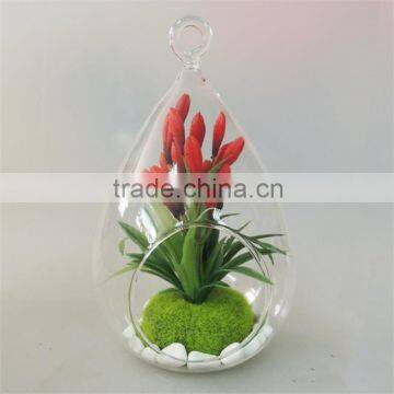 Goods From China New Arrival Artificial Plant Terrarium