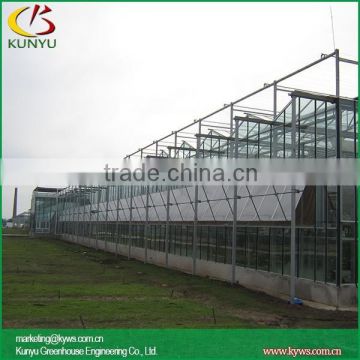 Venlo roof mini glass greenhouse, greenhouse glass panels for glass greenhouse