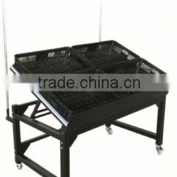 Supplier of RH-VFM03 Supermarket Fruit And Vegetable Display Rack