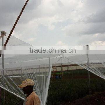 Anti Hail Net for Apple Tree photo-2