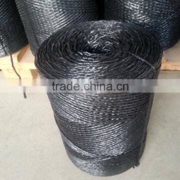 Poly Baler Twine Baling Twine of pp Material photo-4