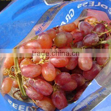 Crimson Grapes