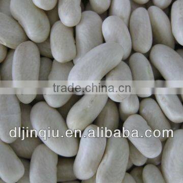 2015 Crop Kidney Bean photo-4