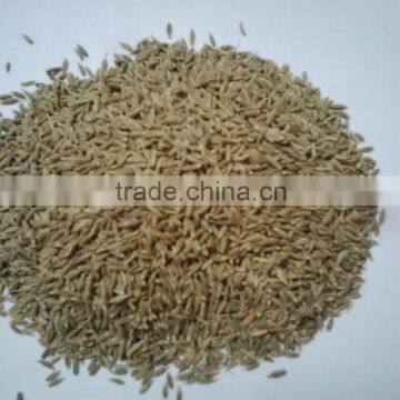 Indian Testy Whole Spices - Whole Large Cumin (Jeera) photo-2