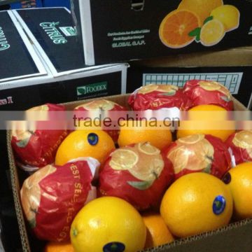 fresh navel orange,quality A, washing orange, big,midum,small size