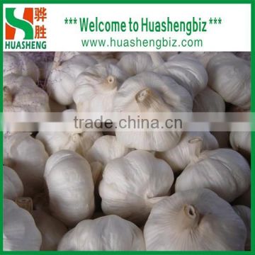 2016 Fresh and Dry Garlic - Chinese Garlic Exporters