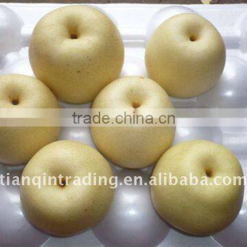 chinese golden pear