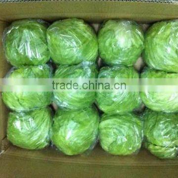 Zhangbei Lettuce photo-6