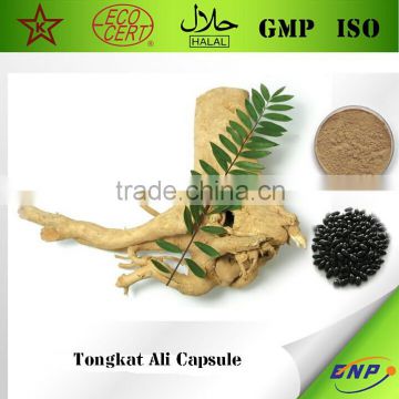 Kosher&GMP BNP Supply Tongkat Ali Capsule (tongkat ali extract)